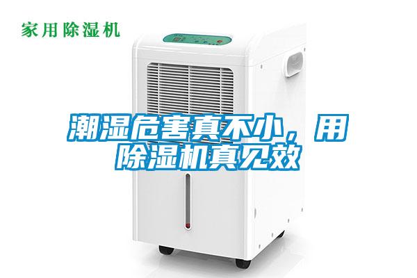 潮濕危害真不小，用除濕機真見效