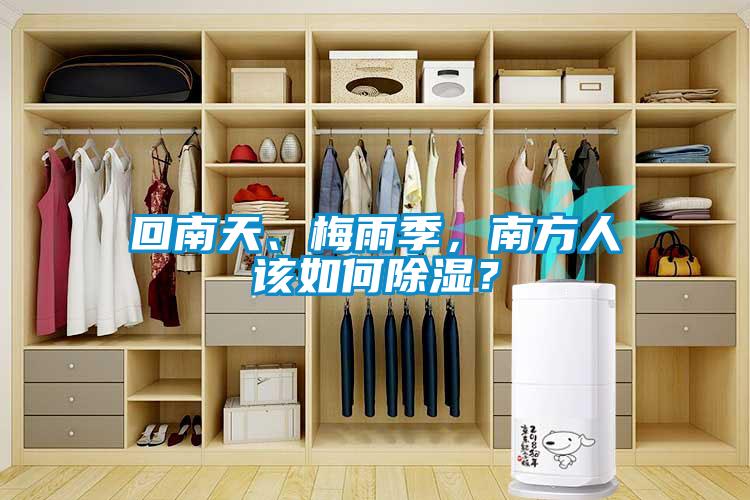 回南天、梅雨季，南方人該如何除濕？