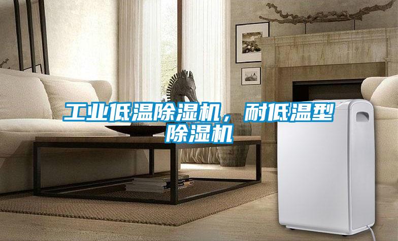 工業(yè)低溫除濕機，耐低溫型除濕機