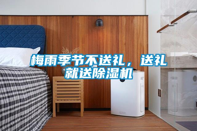 梅雨季節(jié)不送禮，送禮就送除濕機