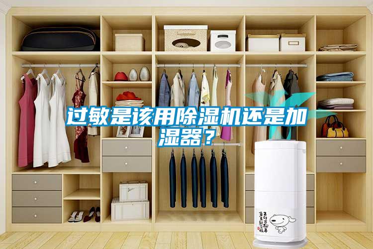 過敏是該用除濕機還是加濕器？