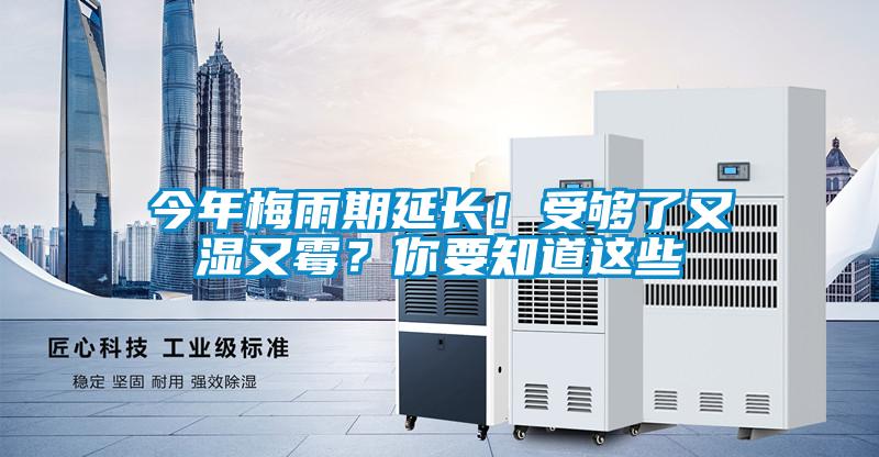今年梅雨期延長！受夠了又濕又霉？你要知道這些