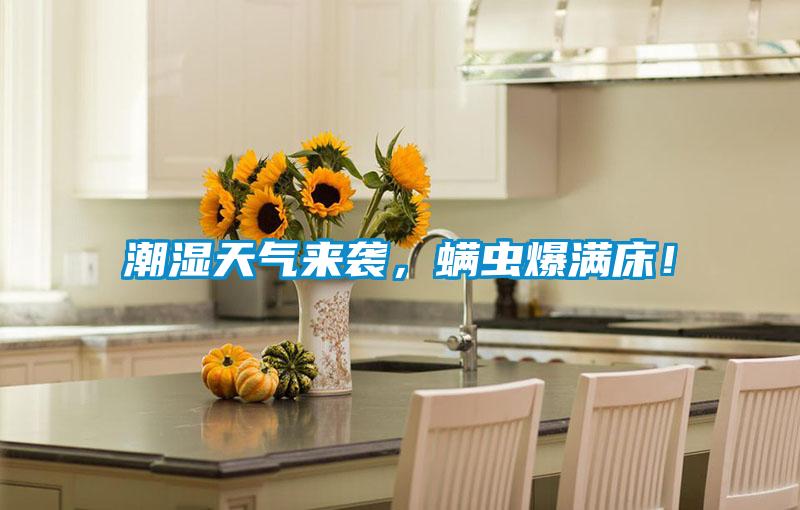 潮濕天氣來(lái)襲，螨蟲(chóng)爆滿(mǎn)床！