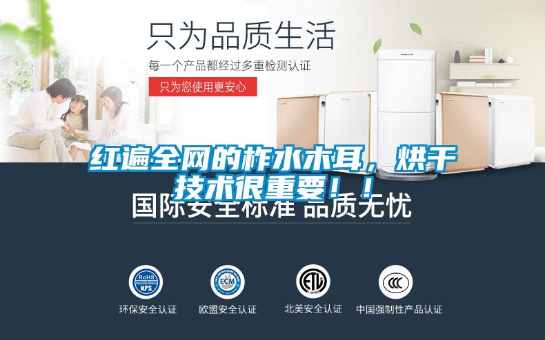 紅遍全網(wǎng)的柞水木耳，烘干技術(shù)很重要！！