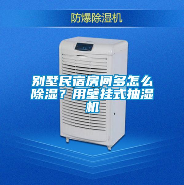 別墅民宿房間多怎么除濕？用壁掛式抽濕機(jī)