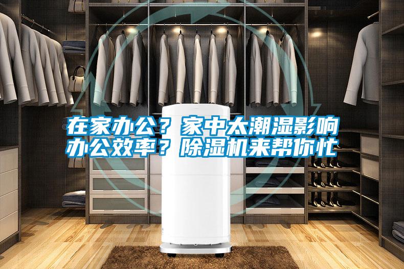 在家辦公？家中太潮濕影響辦公效率？除濕機來幫你忙