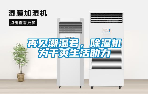 再見潮濕君，除濕機為干爽生活助力