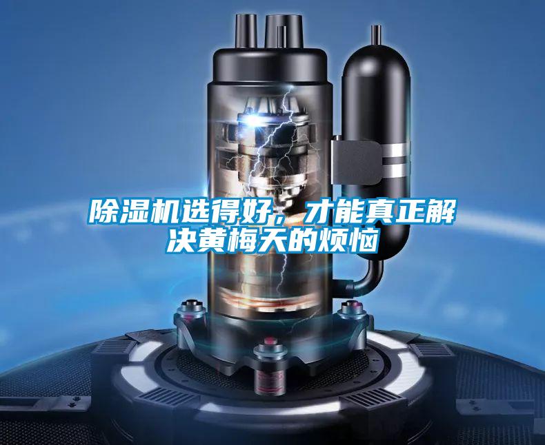 除濕機(jī)選得好，才能真正解決黃梅天的煩惱