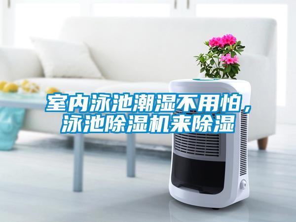 室內(nèi)泳池潮濕不用怕，泳池除濕機(jī)來除濕