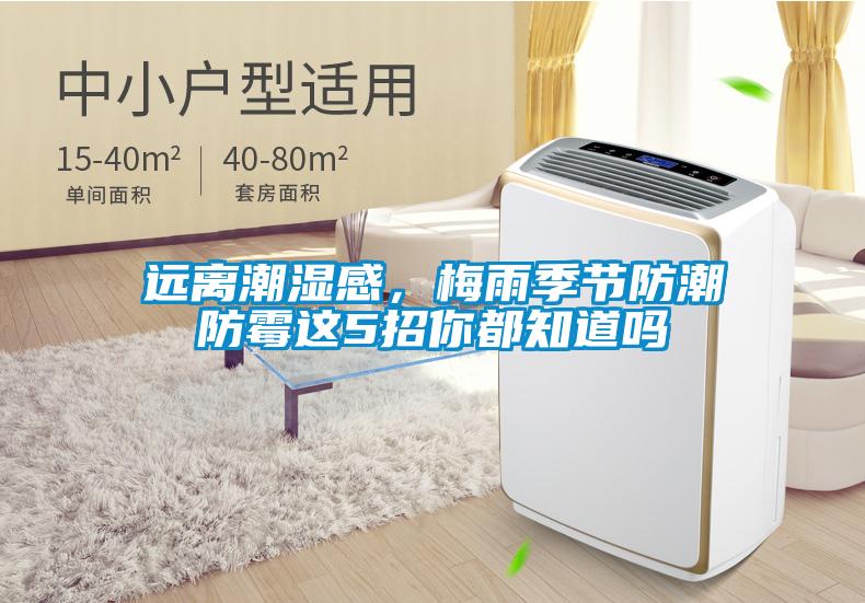 遠(yuǎn)離潮濕感，梅雨季節(jié)防潮防霉這5招你都知道嗎