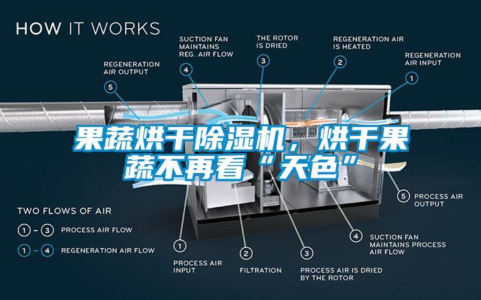 果蔬烘干除濕機，烘干果蔬不再看“天色”
