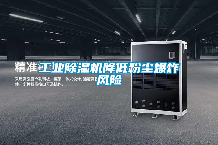 工業(yè)除濕機降低粉塵爆炸風(fēng)險
