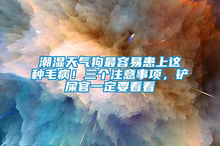 潮濕天氣狗最容易患上這種毛?。∪齻€注意事項，鏟屎官一定要看看