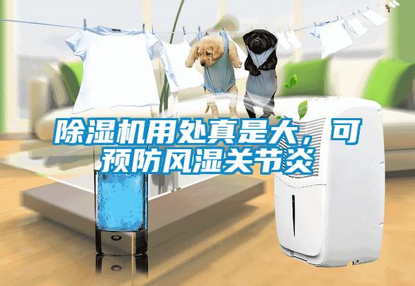 除濕機(jī)用處真是大，可預(yù)防風(fēng)濕關(guān)節(jié)炎