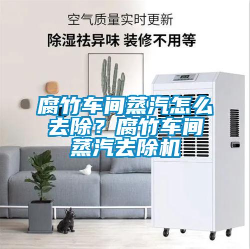腐竹車間蒸汽怎么去除？腐竹車間蒸汽去除機