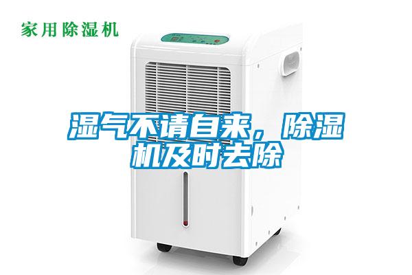 濕氣不請(qǐng)自來，除濕機(jī)及時(shí)去除