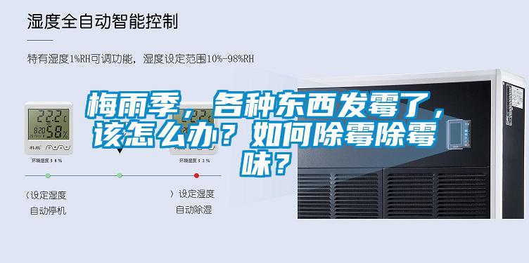 梅雨季，各種東西發(fā)霉了，該怎么辦？如何除霉除霉味？