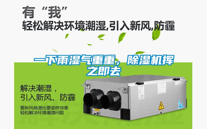 一下雨濕氣重重，除濕機(jī)揮之即去