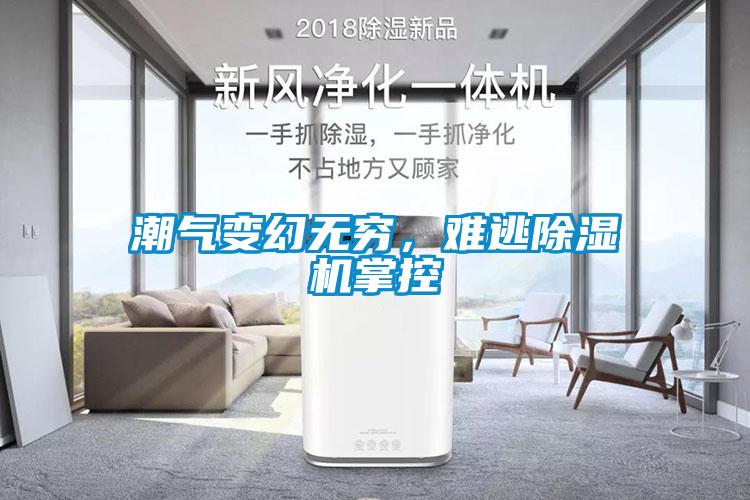 潮氣變幻無(wú)窮，難逃除濕機(jī)掌控