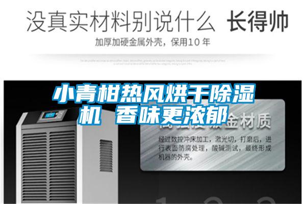 小青柑熱風(fēng)烘干除濕機 香味更濃郁