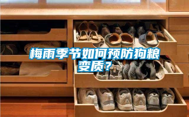 梅雨季節(jié)如何預(yù)防狗糧變質(zhì)？