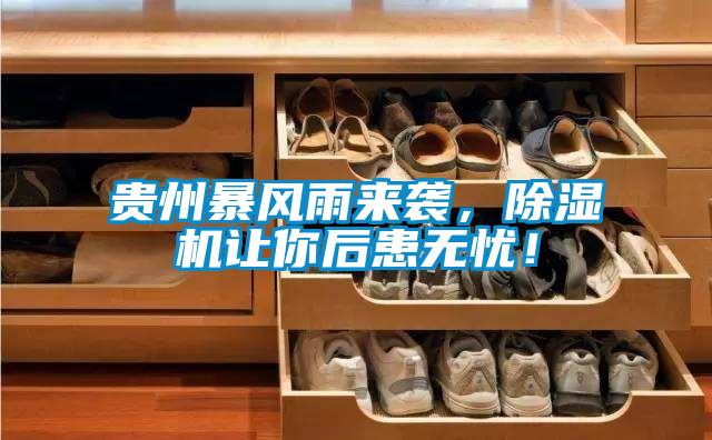 貴州暴風(fēng)雨來(lái)襲，除濕機(jī)讓你后患無(wú)憂！