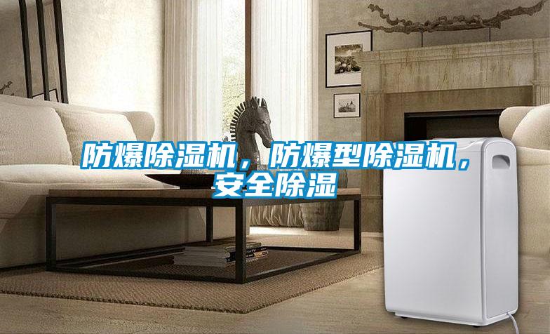 防爆除濕機，防爆型除濕機，安全除濕