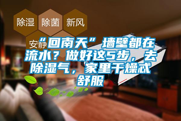 “回南天”墻壁都在流水？做好這5步，去除濕氣，家里干燥忒舒服