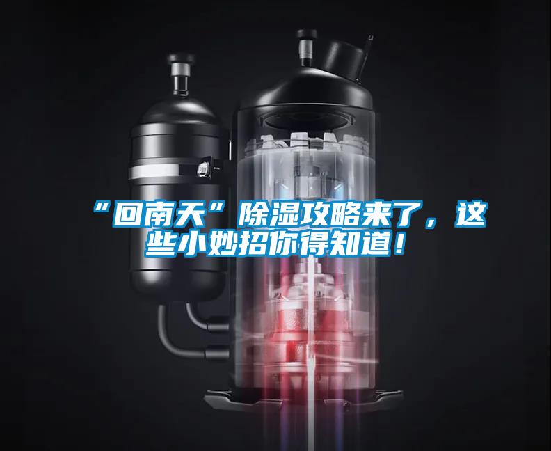 “回南天”除濕攻略來了，這些小妙招你得知道！