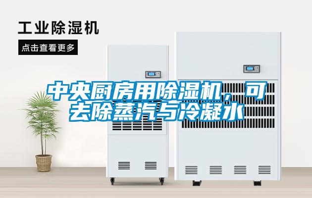 中央廚房用除濕機，可去除蒸汽與冷凝水
