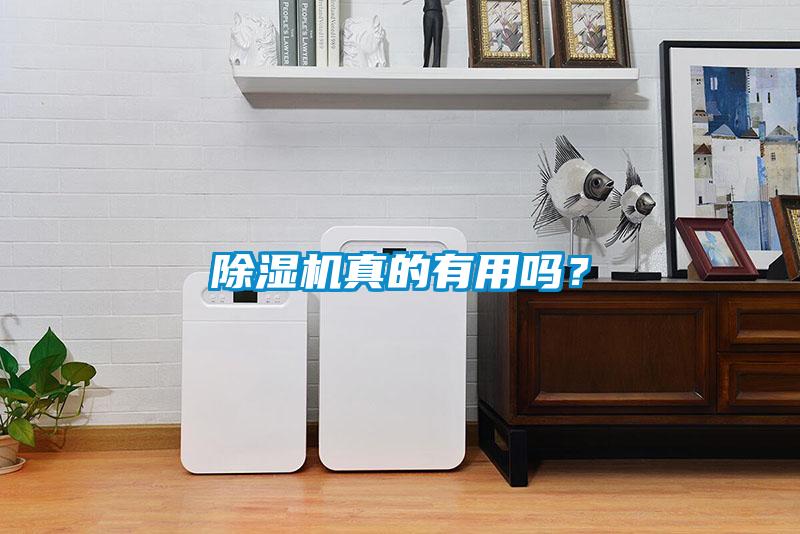 除濕機(jī)真的有用嗎？