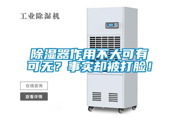 除濕器作用不大可有可無？事實卻被打臉！