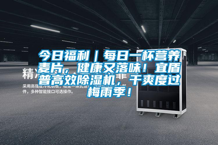 今日福利｜每日一杯營(yíng)養(yǎng)麥片，健康又落味！宜盾普高效除濕機(jī)，干爽度過梅雨季！