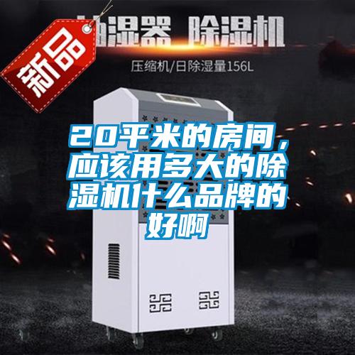 20平米的房間，應(yīng)該用多大的除濕機什么品牌的好啊