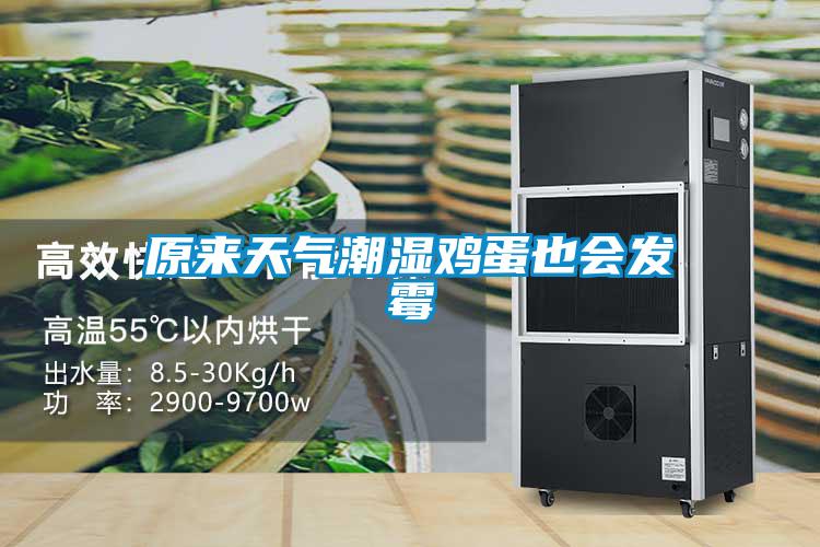 原來(lái)天氣潮濕雞蛋也會(huì)發(fā)霉