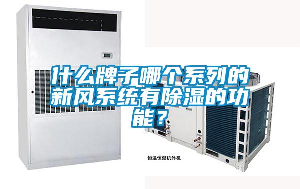 什么牌子哪個系列的新風系統(tǒng)有除濕的功能？