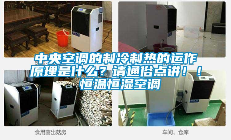 中央空調(diào)的制冷制熱的運(yùn)作原理是什么？請(qǐng)通俗點(diǎn)講！！ 恒溫恒濕空調(diào)