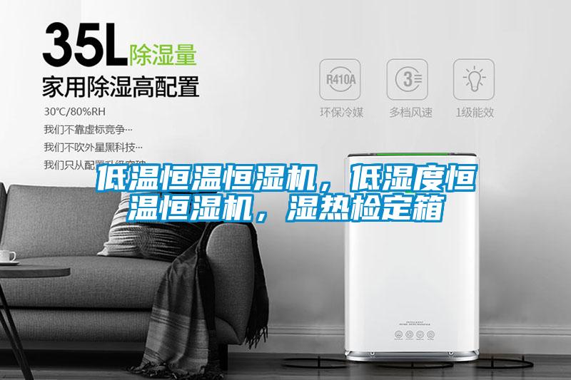 低溫恒溫恒濕機(jī)，低濕度恒溫恒濕機(jī)，濕熱檢定箱
