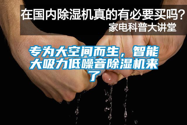 專為大空間而生，智能大吸力低噪音除濕機(jī)來了