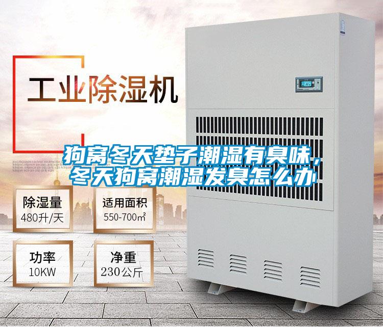 狗窩冬天墊子潮濕有臭味，冬天狗窩潮濕發(fā)臭怎么辦