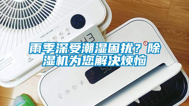 雨季深受潮濕困擾？除濕機為您解決煩惱
