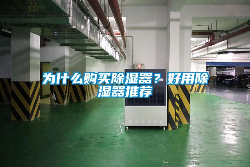 為什么購(gòu)買(mǎi)除濕器？好用除濕器推薦