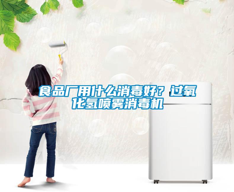 食品廠用什么消毒好？過氧化氫噴霧消毒機(jī)