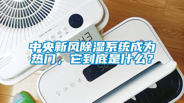 中央新風(fēng)除濕系統(tǒng)成為熱門(mén)，它到底是什么？
