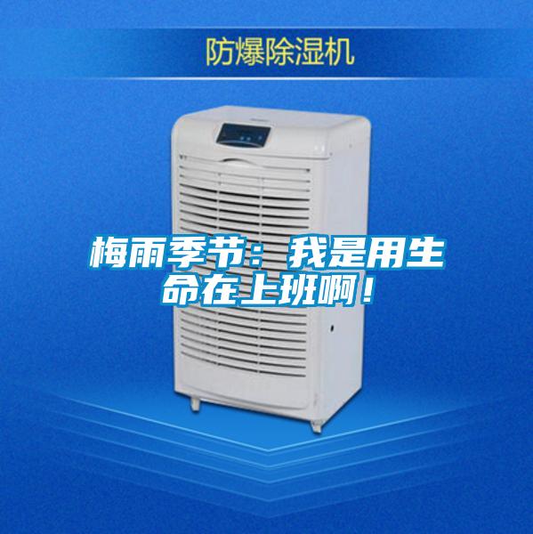 梅雨季節(jié)：我是用生命在上班??！