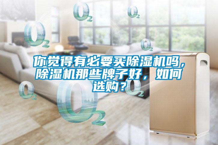 你覺得有必要買除濕機嗎，除濕機那些牌子好，如何選購？
