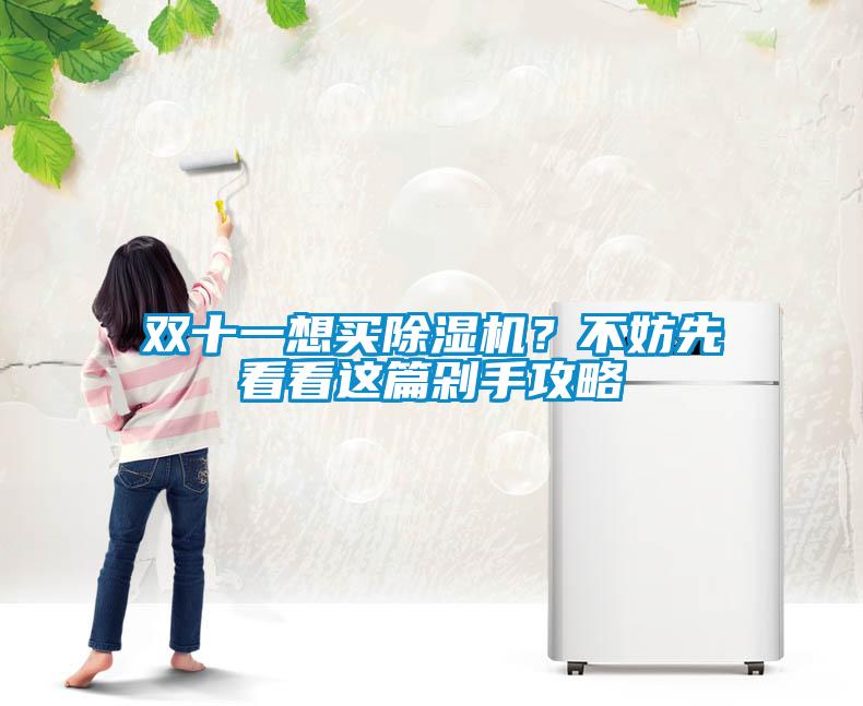 雙十一想買除濕機(jī)？不妨先看看這篇剁手攻略