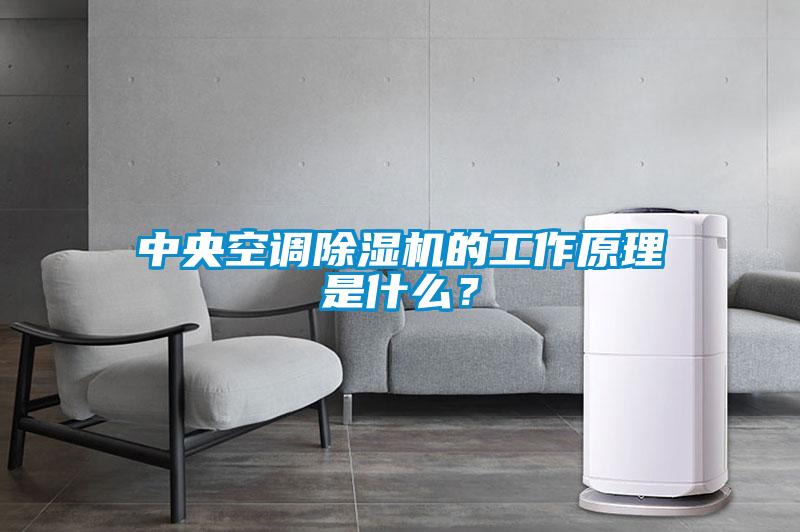 中央空調(diào)除濕機(jī)的工作原理是什么？