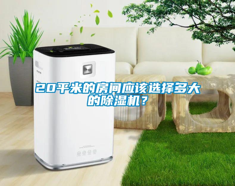 20平米的房間應(yīng)該選擇多大的除濕機？