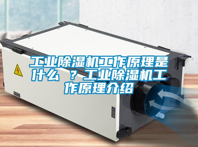 工業(yè)除濕機(jī)工作原理是什么 ？工業(yè)除濕機(jī)工作原理介紹